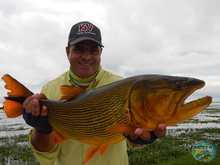 Fotos da pesca esportiva no Pantanal Argentino - Argentina